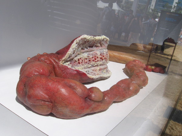 A creepy Strigoi Stinger from The Strain.