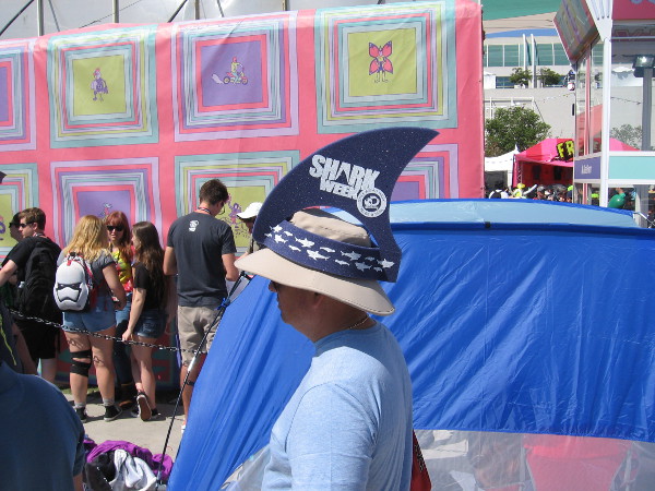 A shark fin swimming past Adult Swim.