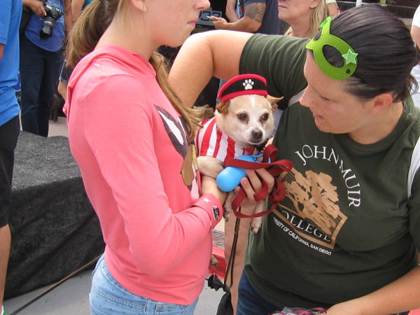 Not sure who this dog is pretending to be. Perhaps Captain Paw-merica.