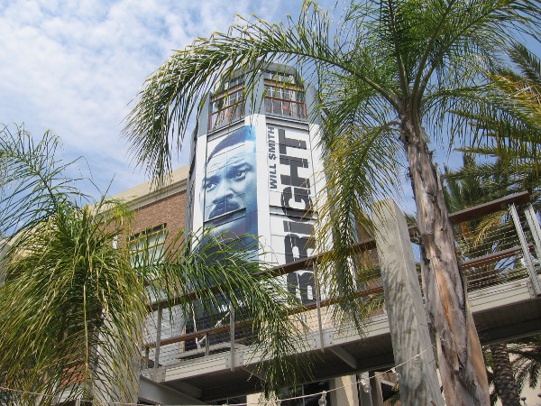 Will Smith peers brightly from between palm trees.