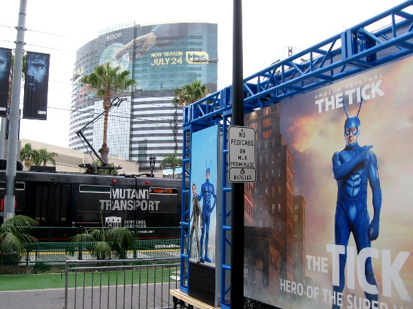 A cool convergence near Harbor Drive.