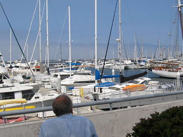 Relaxing by the picturesque marina on a quiet, peaceful morning.