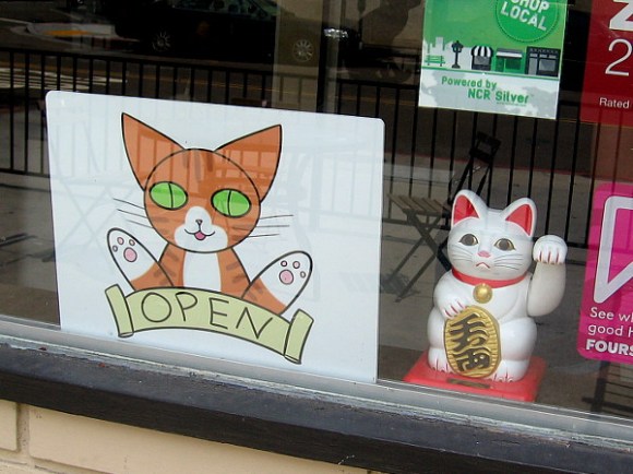 Two cats in one window!
