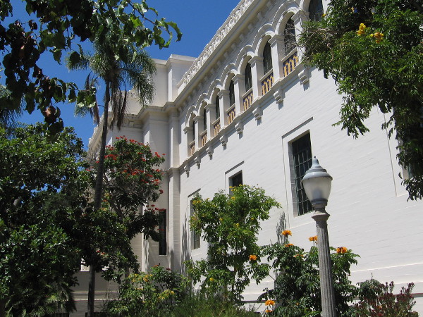 Sunshine on the south side of the San Diego Natural History Museum in Balboa Park.