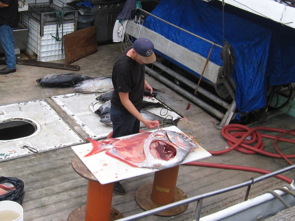 Fresh opah is prepared on the fishing vessel Pacific Horizon docked at the Tuna Harbor Dockside Market!