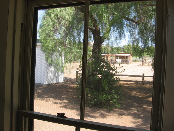 Inside a room that contains museum-like exhibits, looking north out a window at various small structures on the ranch, including a chicken coop and goat pen.