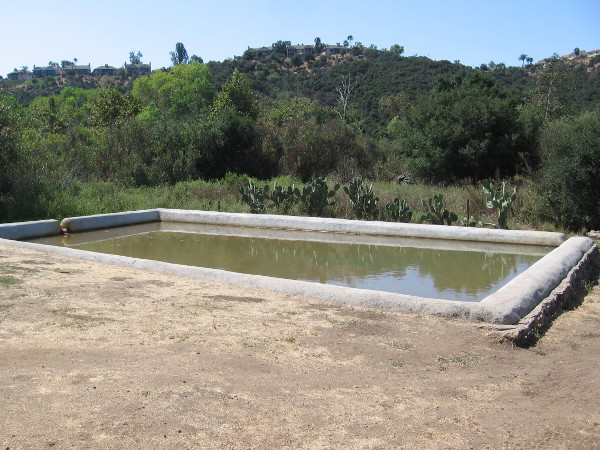 An artificial pond south of the ranch house was filled with water from the nearby spring house for irrigation of a nearby grove.
