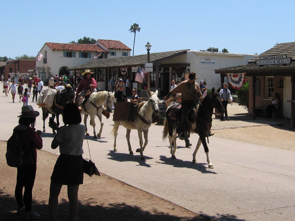 Look what's coming! These pack animals have transported the mail all the way from San Antonio!