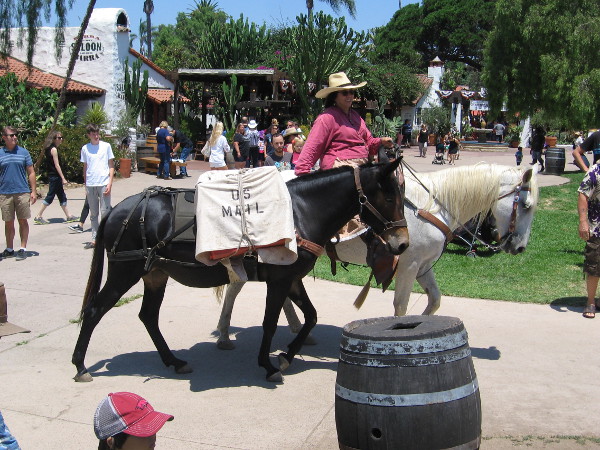 I guess this would qualify as Ground Mail.