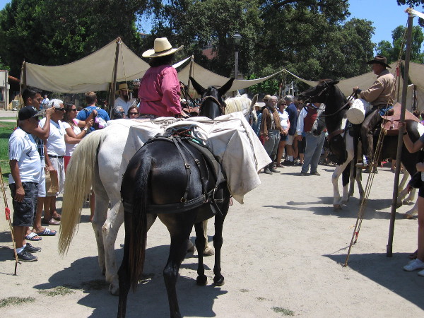 The small Old Town encampment excitedly greets the four-legged mail carriers.