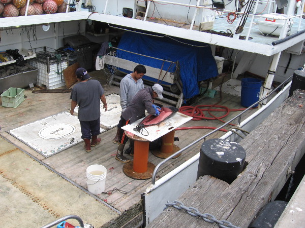 Working hard to prepare your tasty seafood meal!