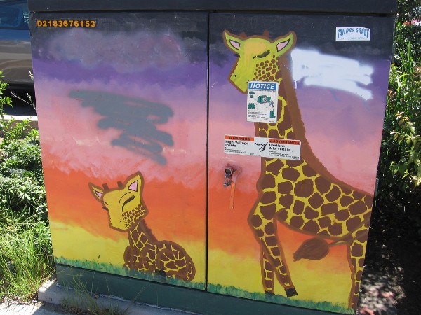 Two giraffes.