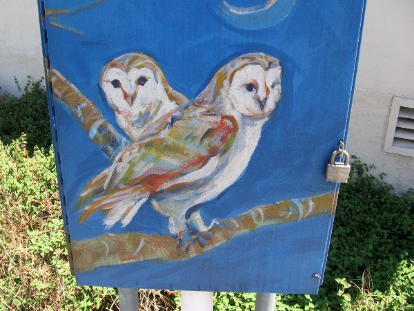 Two owls.