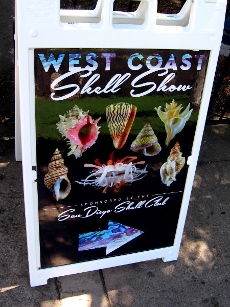 The West Coast Shell Show was presented in Balboa Park by the San Diego Shell Club.