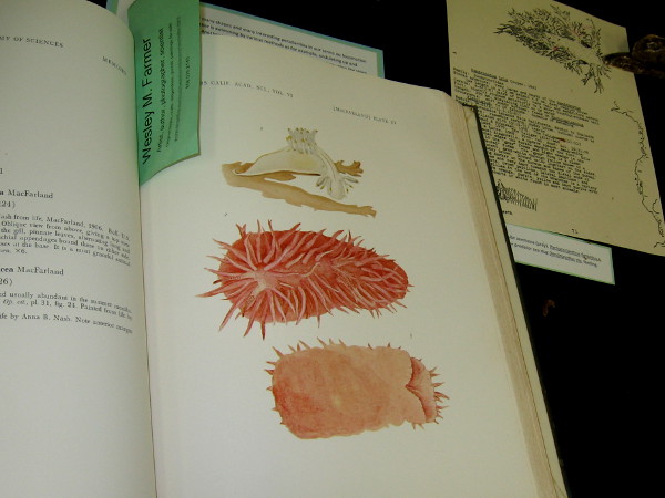 Dr. Wesley M. Farmer had a table full of scientific books, plus lots of unique art he'd created concerning nudibranchs, a type of sea slug. They shed their shells after their larval stage.