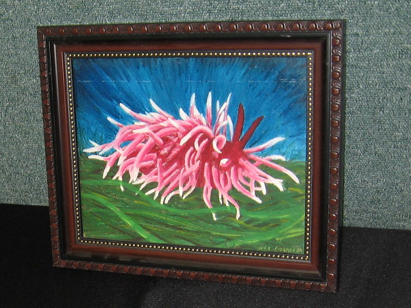 The public could enjoy many amazing sights at the West Coast Shell Show!