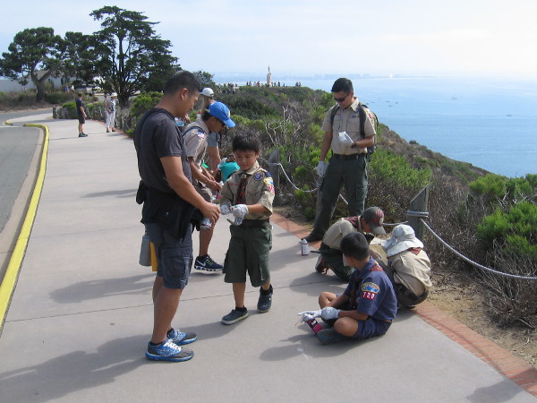 Many generous Boy and Girl Scouts volunteered to beautify Cabrillo National Monument during Operation Gum Drop Removal!