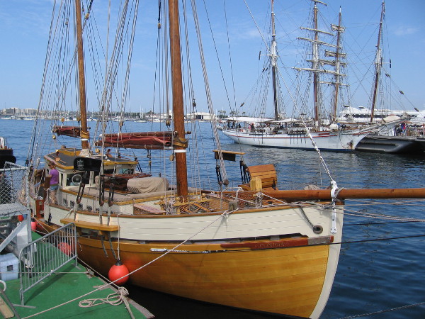 Beautiful tall ships everywhere one looks!