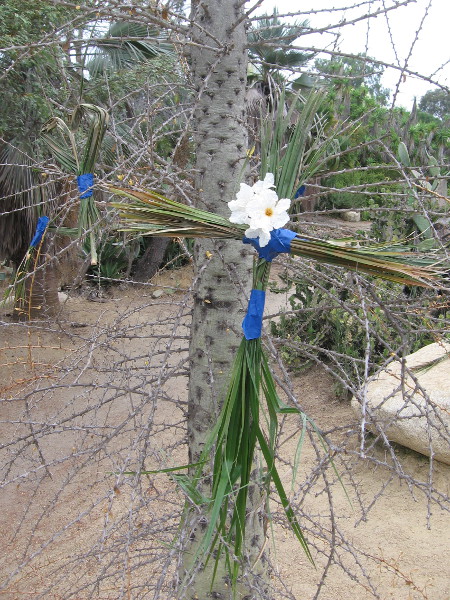 Who placed a palm frond cross and hearts on a tree in the Desert Garden?