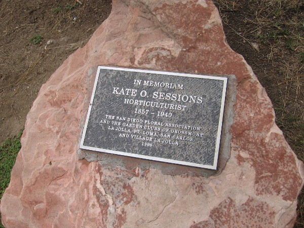 Will seeds planted in Balboa Park by Kate Sessions outlive us all?