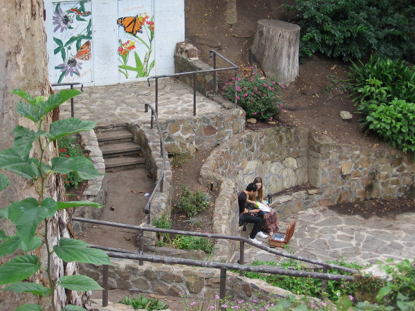 Spring and summer vanish. What is in their future?