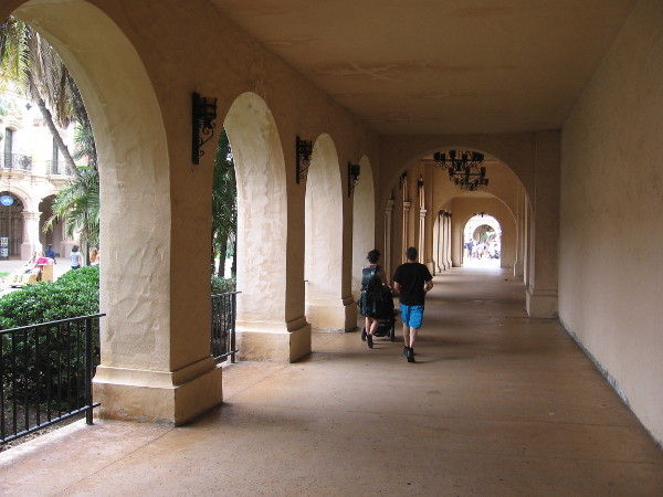 Why does time move only forward?