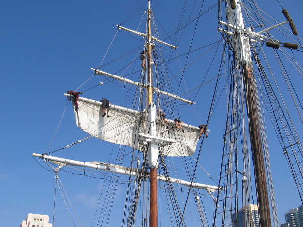 Securely furling the brigantine's square topsails high on the foremast takes muscle, coordination and concentration.
