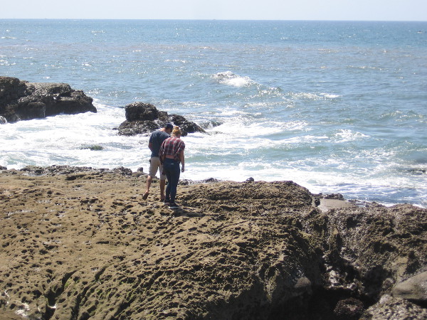 A perfect day to explore nature's many wonders beside the ocean.