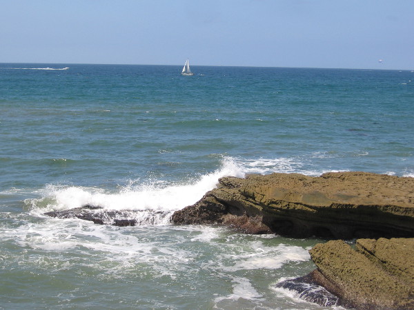 A white sailboat out on the wide blue Pacific Ocean.