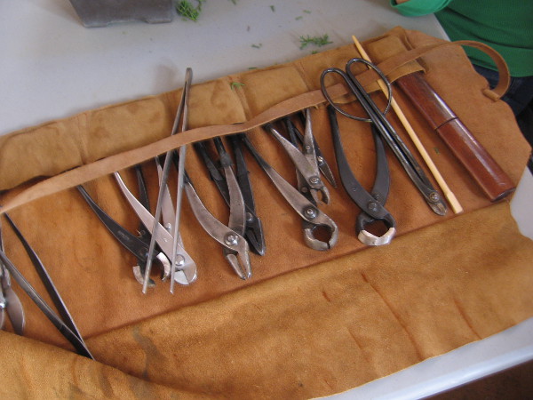 The many tools of a bonsai gardener.