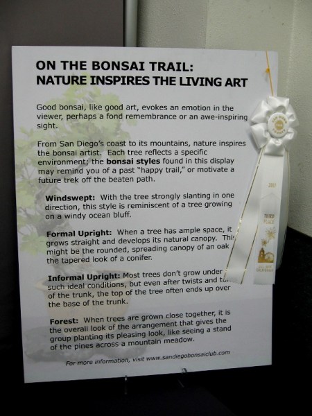 Like any other good art, bonsai evokes emotion. Nature inspires the bonsai artist. Styles can include Windswept, Formal Upright, Informal Upright and Forest.