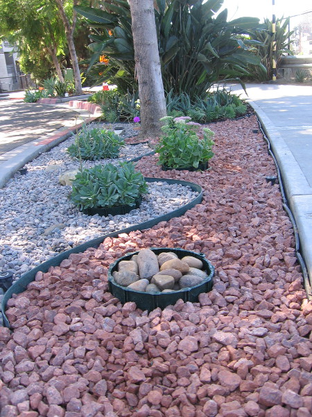 A recently improved section of Tweet Street Park on Cortez Hill. Volunteers help make this downtown neighborhood more beautiful.