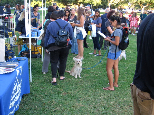 A gathering in Balboa Park and an urgent message. Millions of shelter animals around the world simply want to live and be loved.