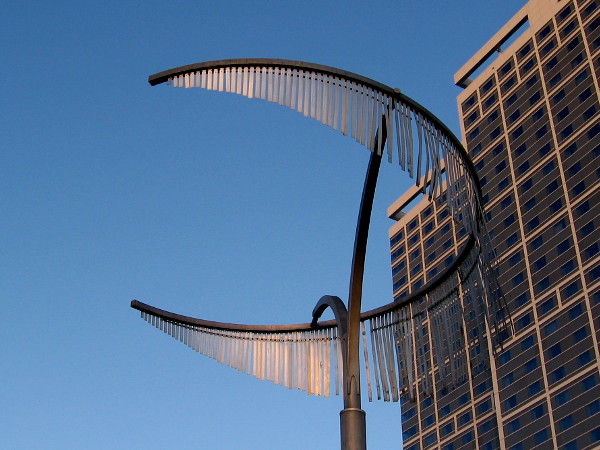 Waning rays of sunlight, magically captured.