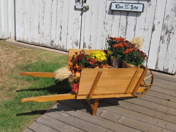 A flower-filled wheelbarrow in front of Seeley Stable.