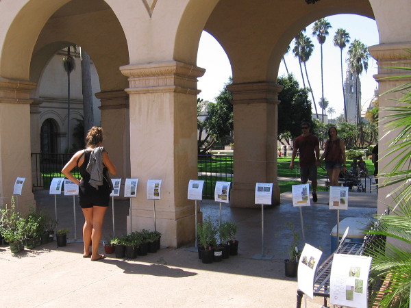 Balboa Park's iconic California Tower is seen through an archway at the Casa del Prado.