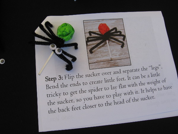 Anyone at the Japanese Friendship Garden could make a cool spider sucker holder using craftily bent black pipe cleaners.