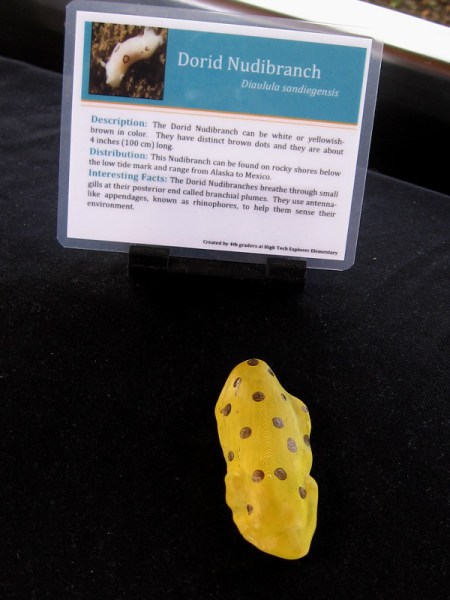 3D printed Dorid Nudibranch.