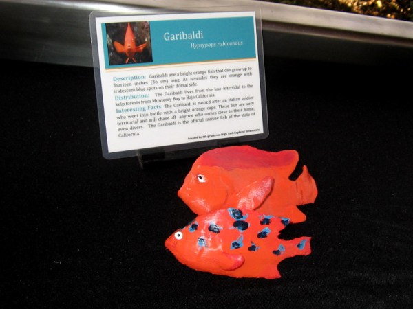 3D printed Garibaldi.