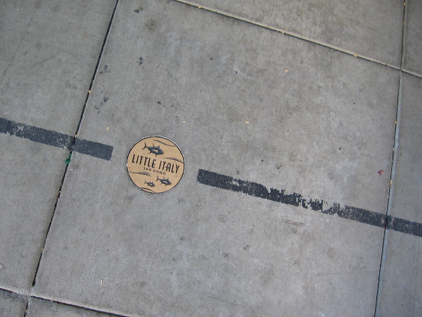 Little Italy in San Diego, where countless moving feet and stories converge.