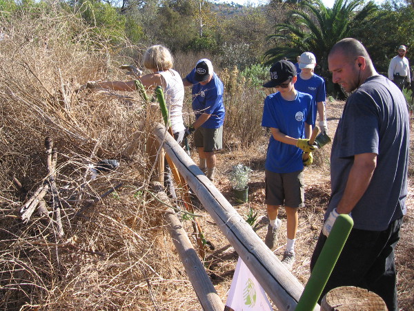 Hard-working volunteers remove non-native vegetation in a small part of the San Dieguito River Valley.