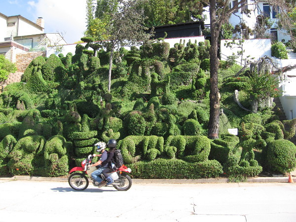 People ride past what is possibly the most amazing, fantastic front yard in all of San Diego!