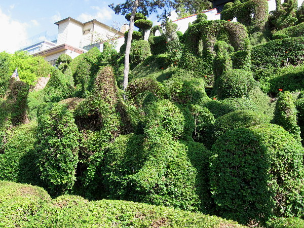 Those who drive up this street might be in for a great surprise!