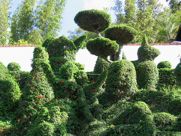 Perhaps the garden was inspired a bit by the fantastic worlds of Dr. Seuss, who lived in nearby La Jolla.
