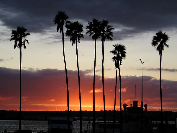 A blazing sunset beneath palm trees on San Diego's Embarcadero, as seen from Waterfront Park.