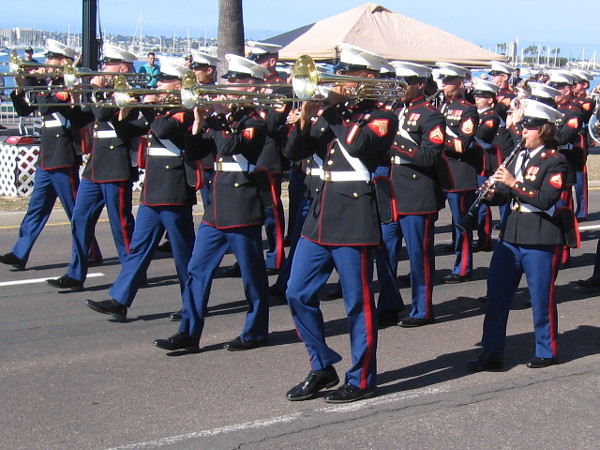 Marching with pride during the Veterans Day Parade.