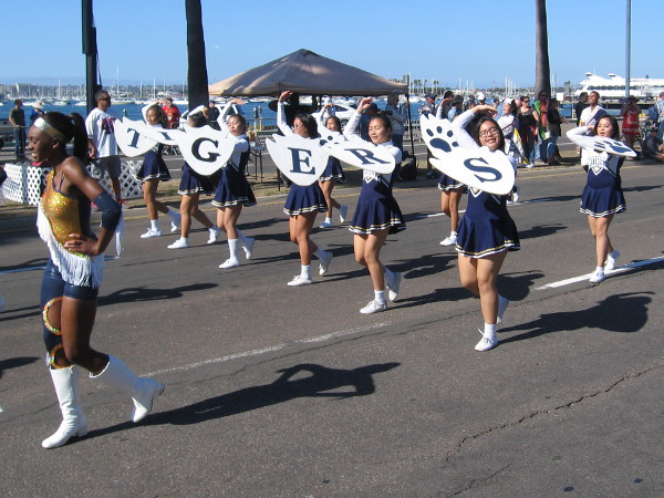 The Morse High School Tigers had a huge number of great participants in the Veterans Day Parade!