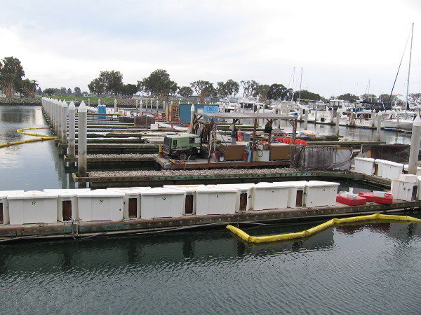 Time takes a toll. The Marriott Marina is slowly being refurbished. Moving forward, looking ahead.