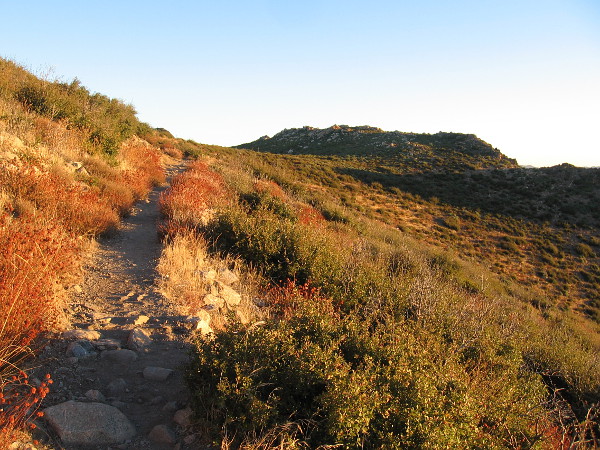 The sunshine is warm. I will soon have to remove my light jacket. Even though it is late November, the dry air from the desert is very pleasant.