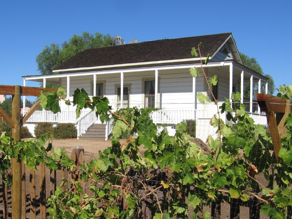 The Sikes Adobe Farmhouse rises behind a row of green grape vines.